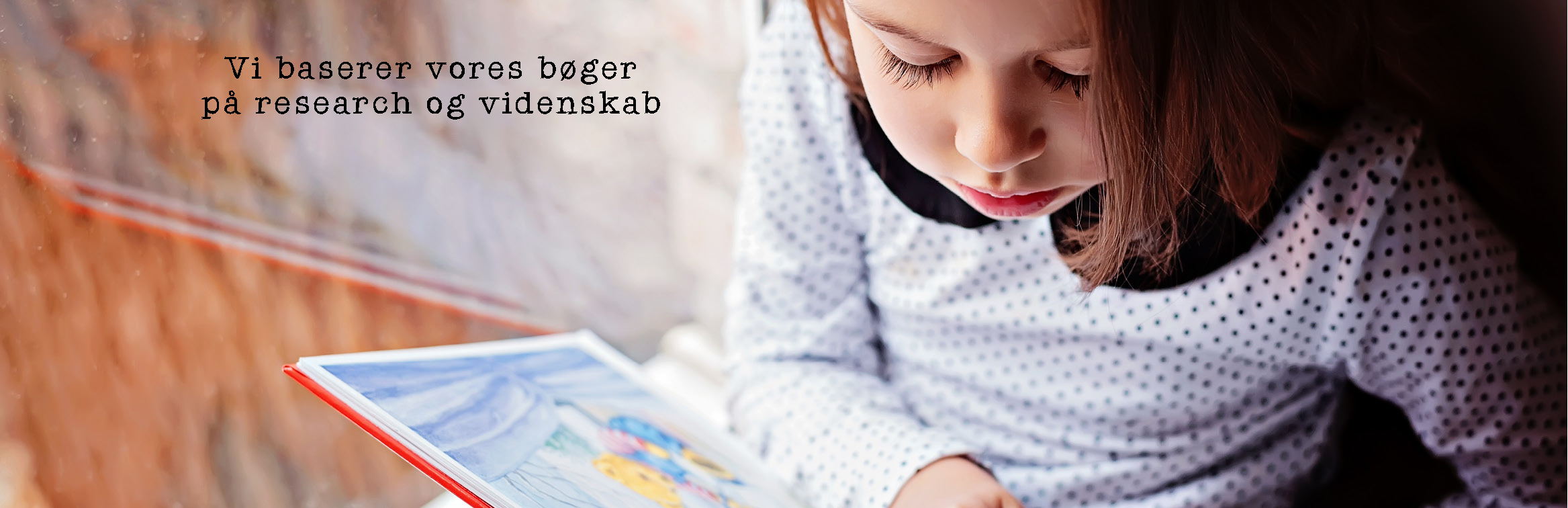 vbaserer